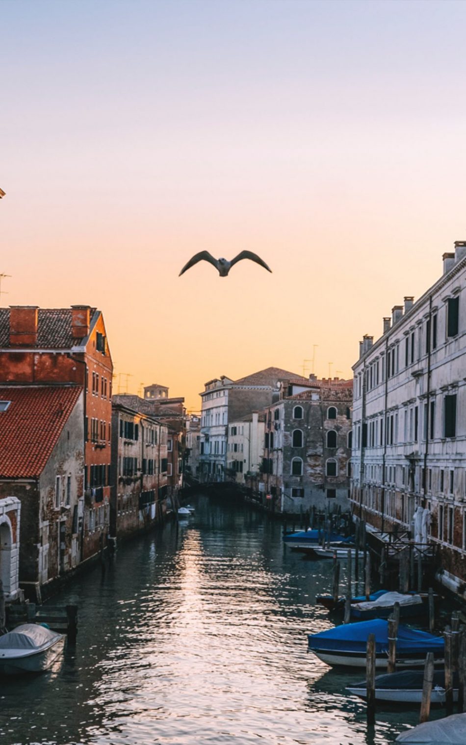 Venice Photos Download The BEST Free Venice Stock Photos  HD Images