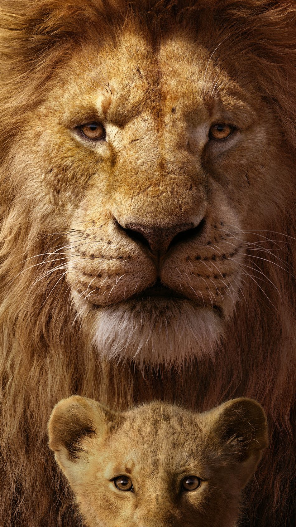 wach lion king free online