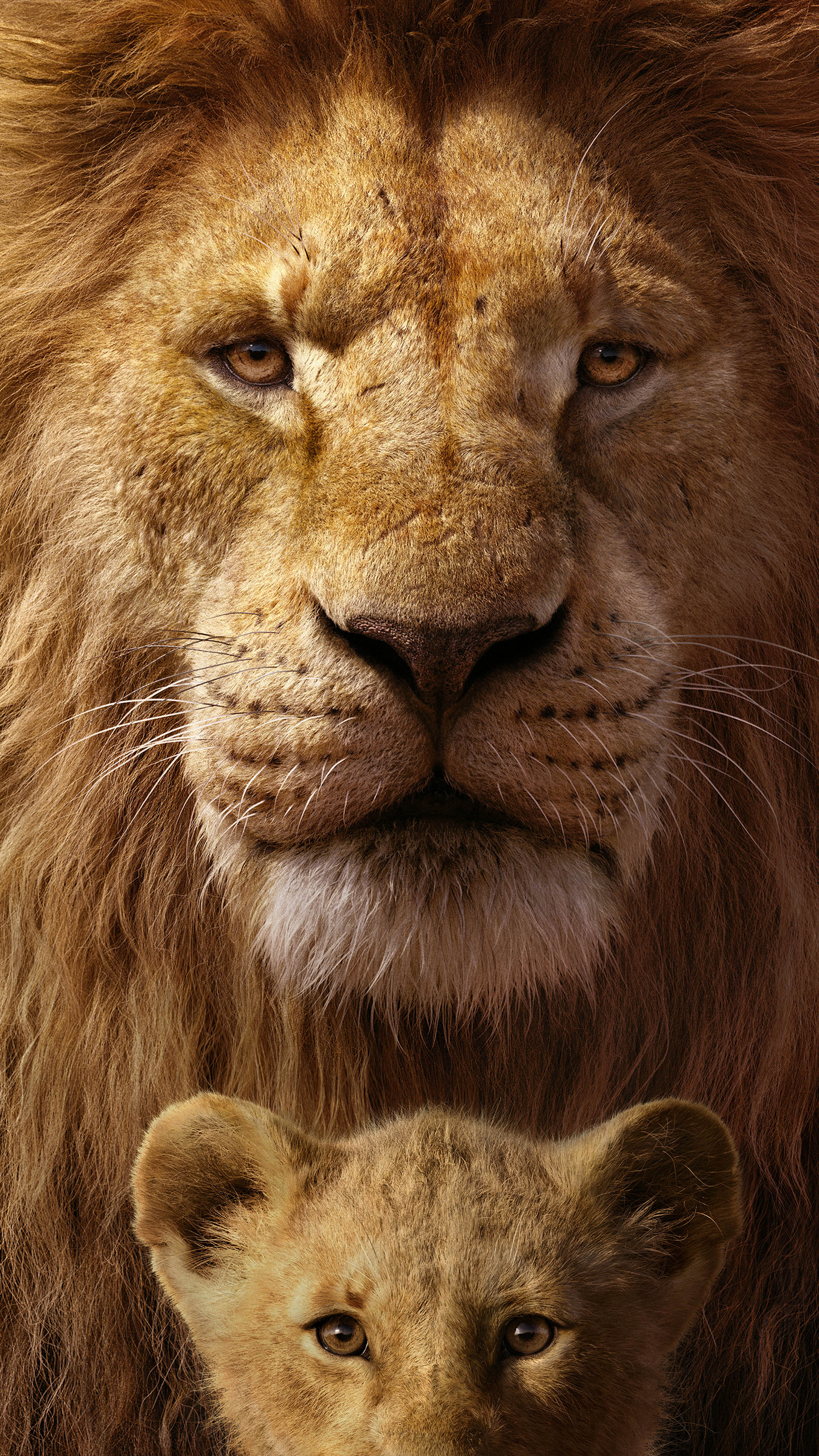 40 The Lion King 2019 HD Wallpapers and Backgrounds