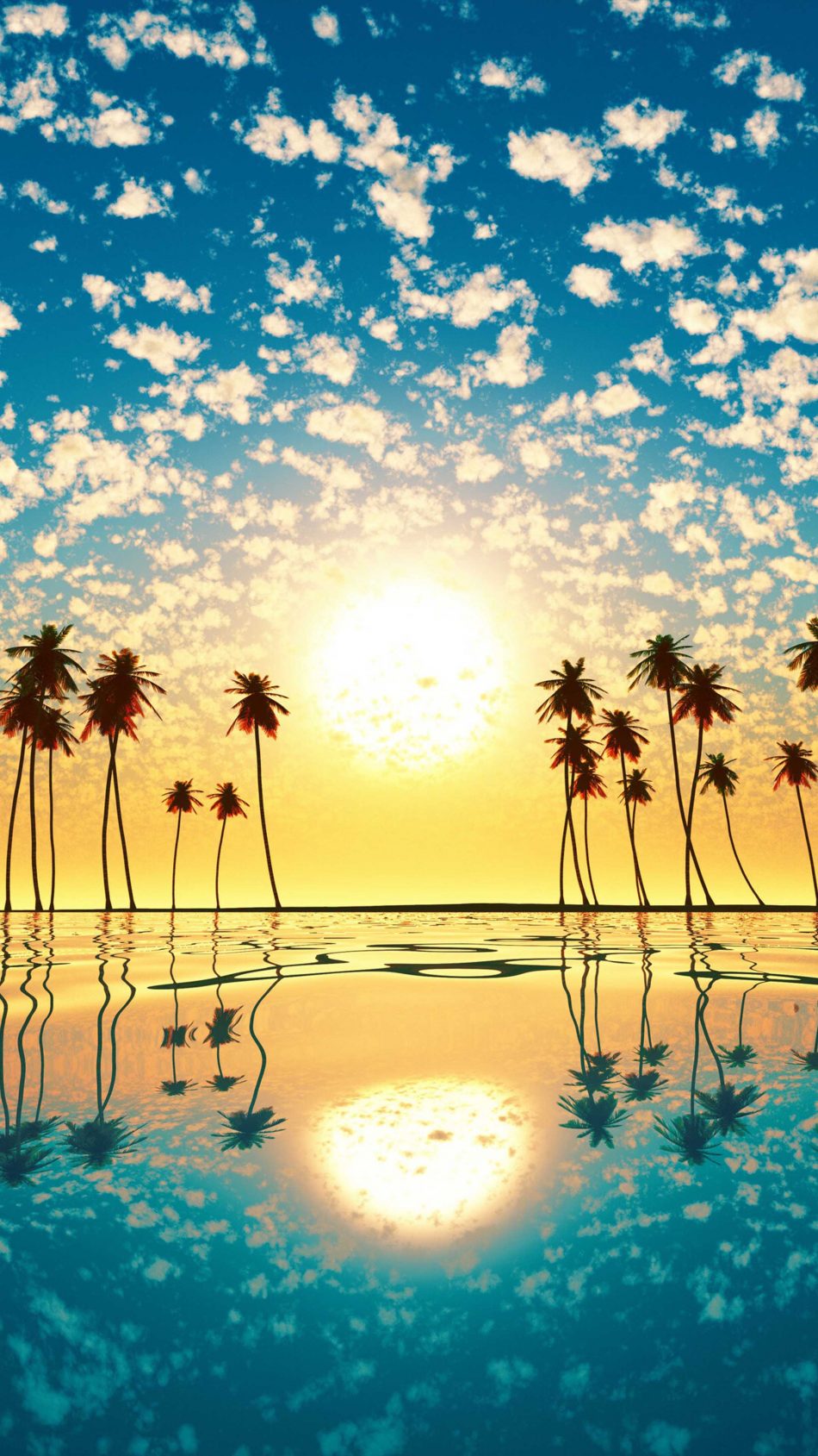 Sunset Palm Tree Cloud Sky Reflection Free 4K Ultra HD ...
