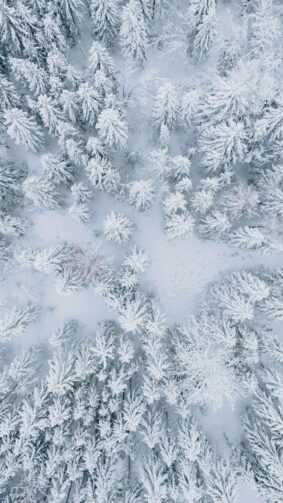 Snow Covered Forest Winter Aerial View 4K Ultra HD Mobile Wallpaper
