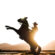Cowboy Riding Horse Sunset Silhouette 4K Ultra HD Mobile Wallpaper