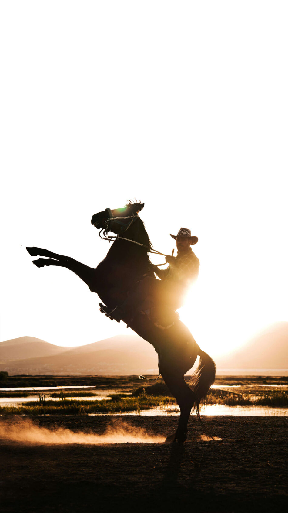 Cowboy Riding Horse Sunset Silhouette 4K Ultra HD Mobile Wallpaper