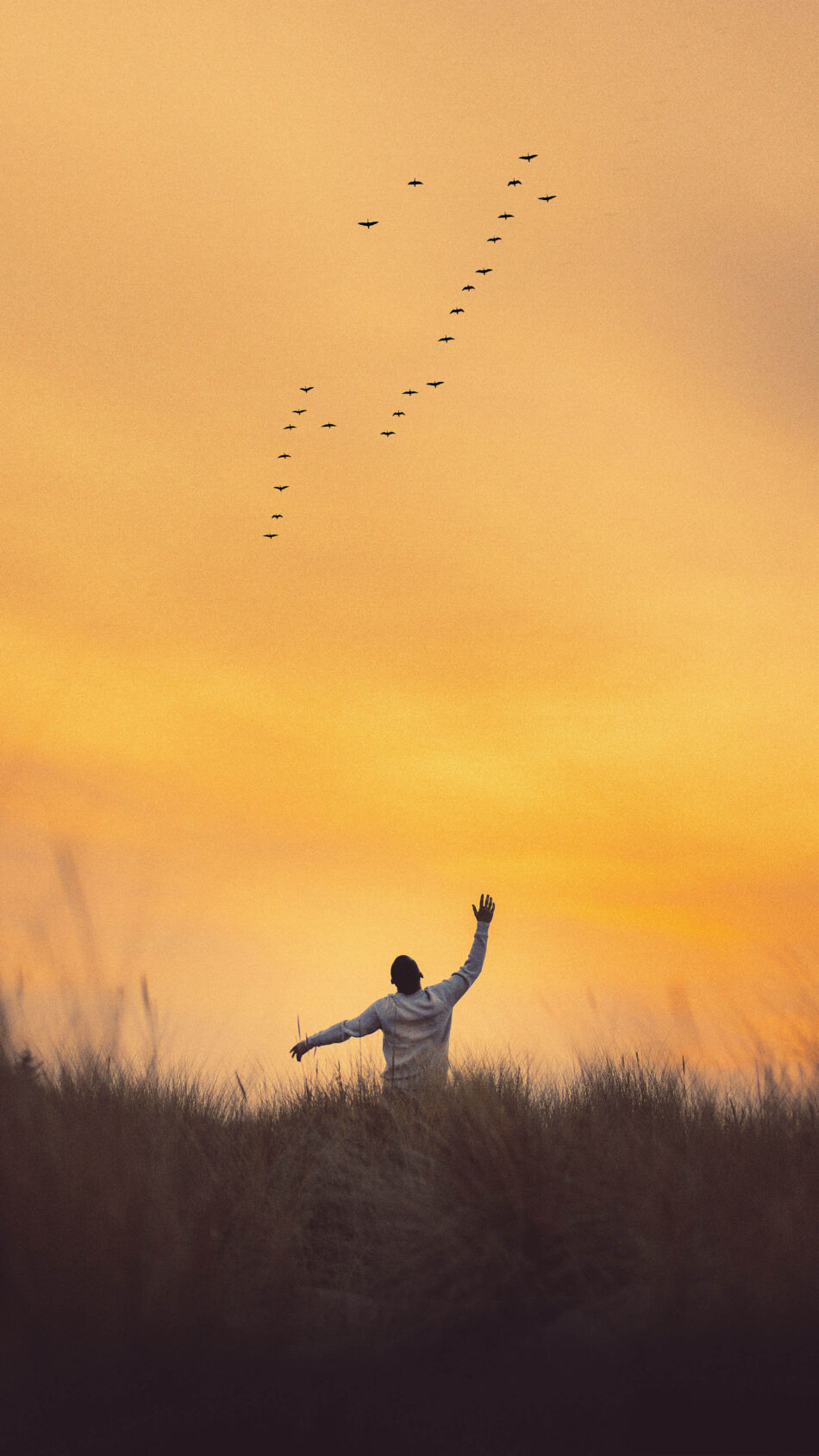 Happy Man Running On Grass Field Golden Evening 4K Ultra HD Mobile Phone Wallpaper