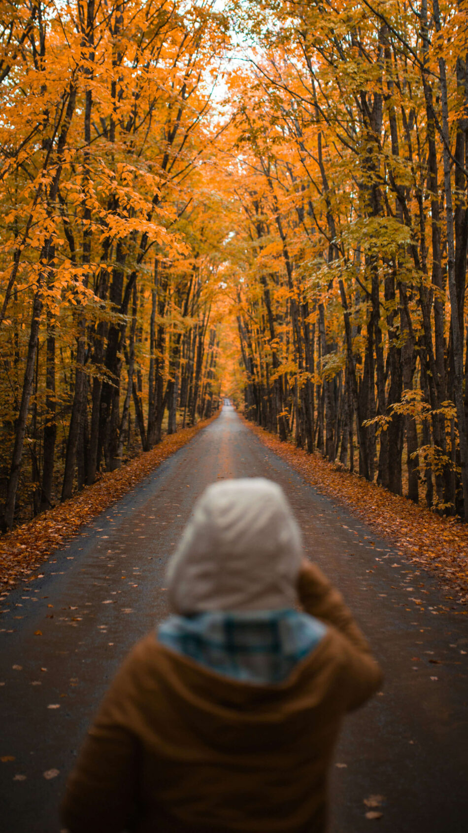 Girl Empty Road Full of Maple Tree Winter Fall 4K Ultra HD Mobile Phone Wallpaper