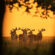 Group of Deer Enjoying Golden Sunset 4K Ultra HD Mobile Phone Wallpaper