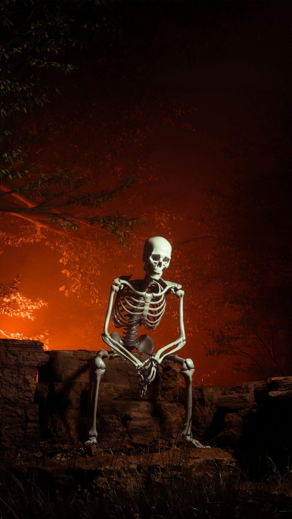 Skeleton Sitting Halloween Decoration 4K Ultra HD Mobile Phone Wallpaper