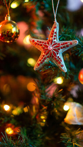 Beautiful Christmas Star Ornament Decoration 4K Ultra HD Mobile Phone Wallpaper